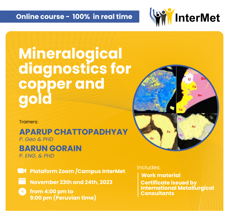 Diagnosticos-Mineralogicos-ENG-1-768x768