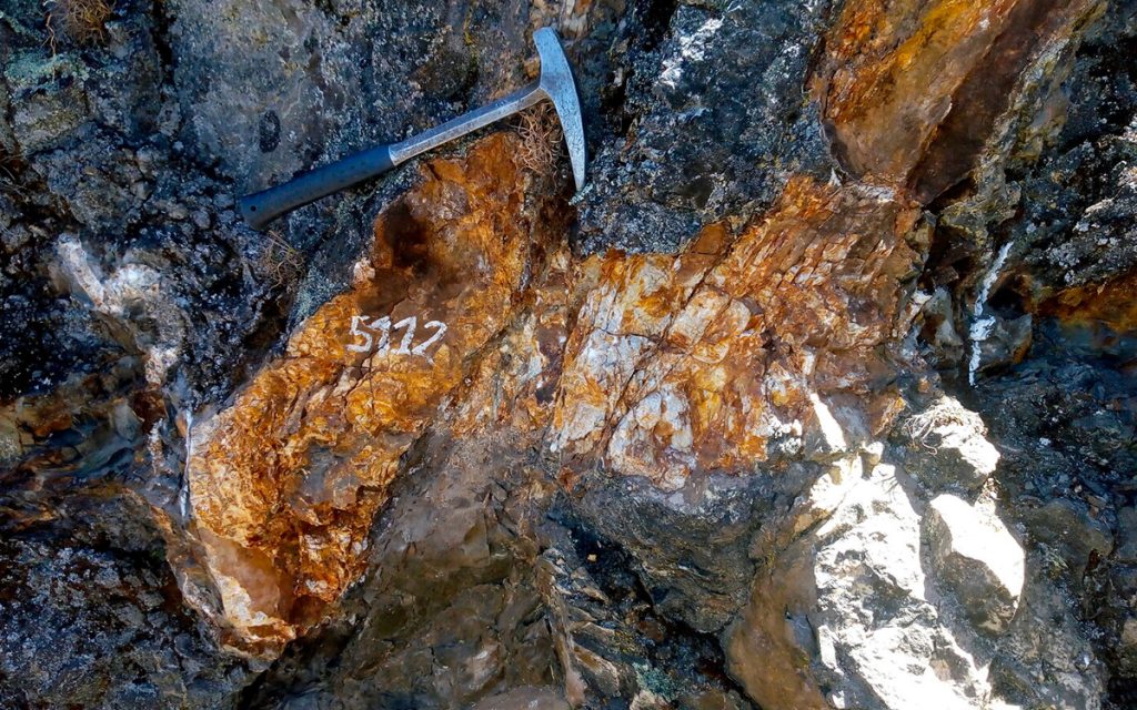 palamina