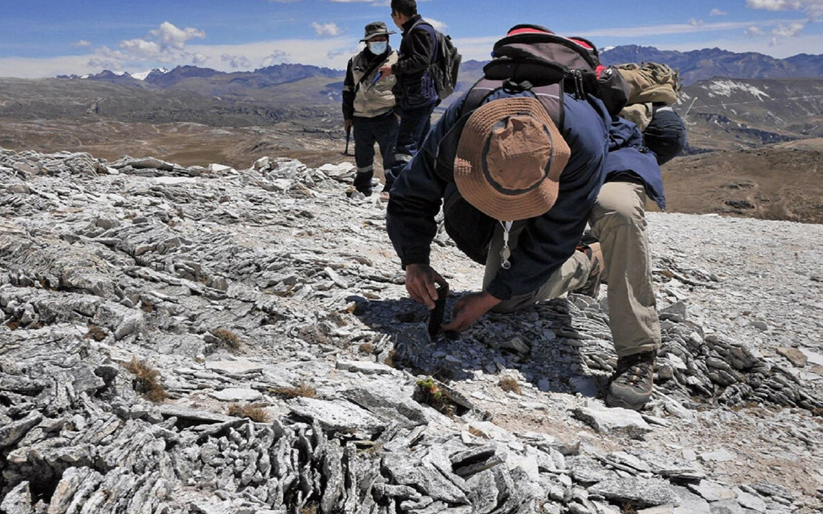 reactivar-la-exploracion-de-litio-requiere-resolver-vacíos-normativos-afirman-especialistas