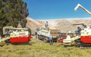 southern-peru-valle-del-tambo