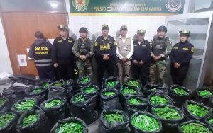 pnp-mineria-ilegal
